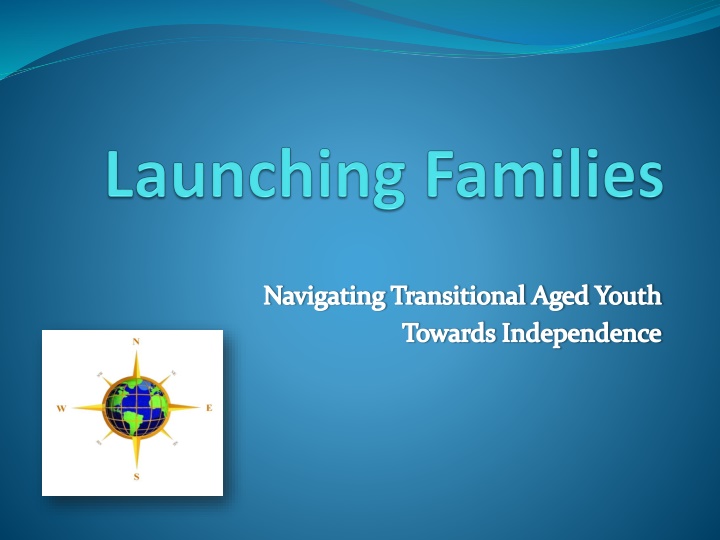 navigating transitional aged youth towards