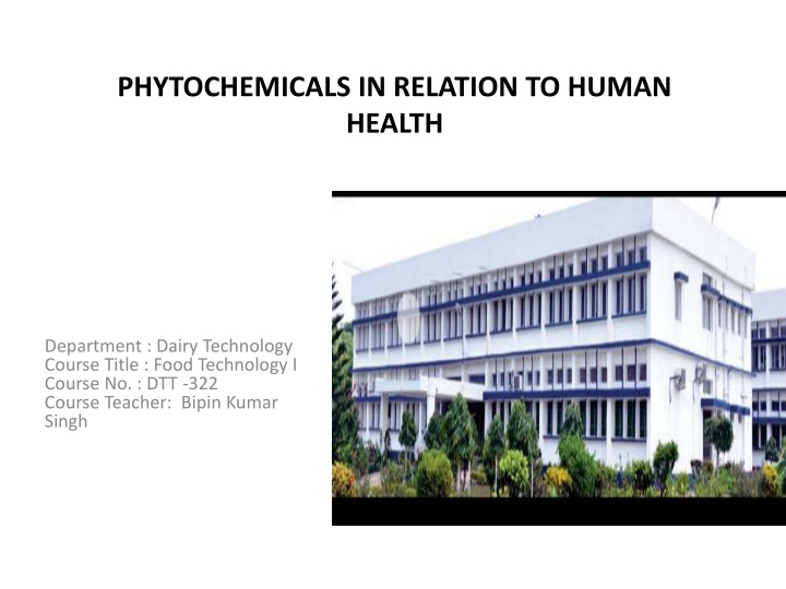 phytochemicals in relation to human health