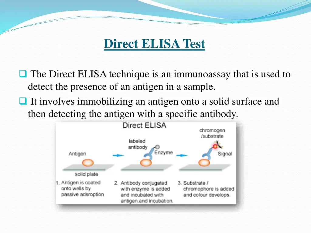 direct elisa test