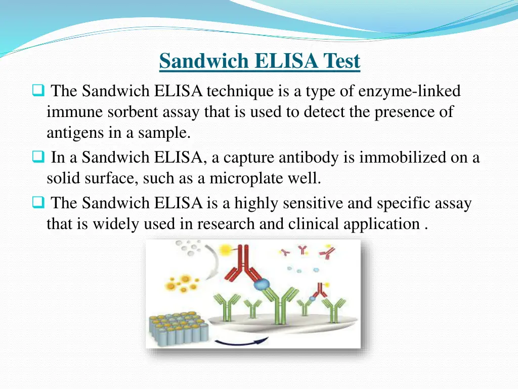 sandwich elisa test