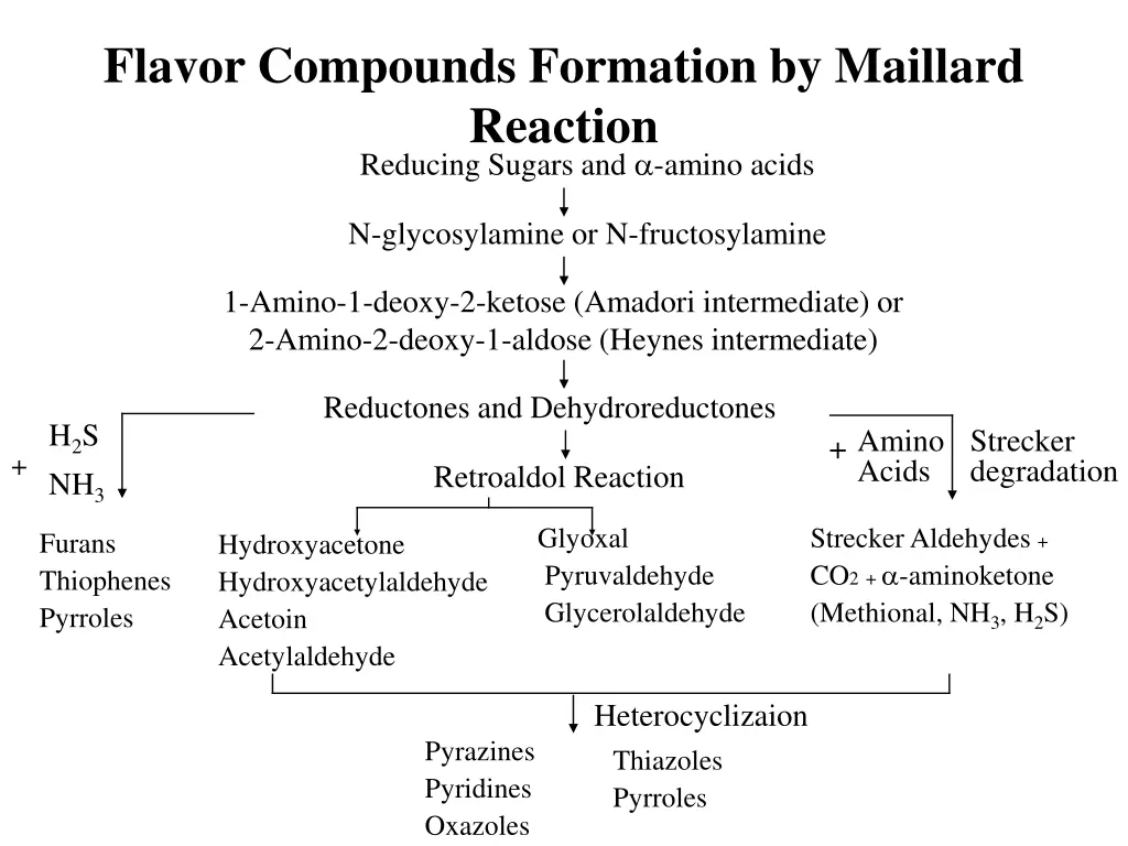 flavor compounds formation by maillard reaction