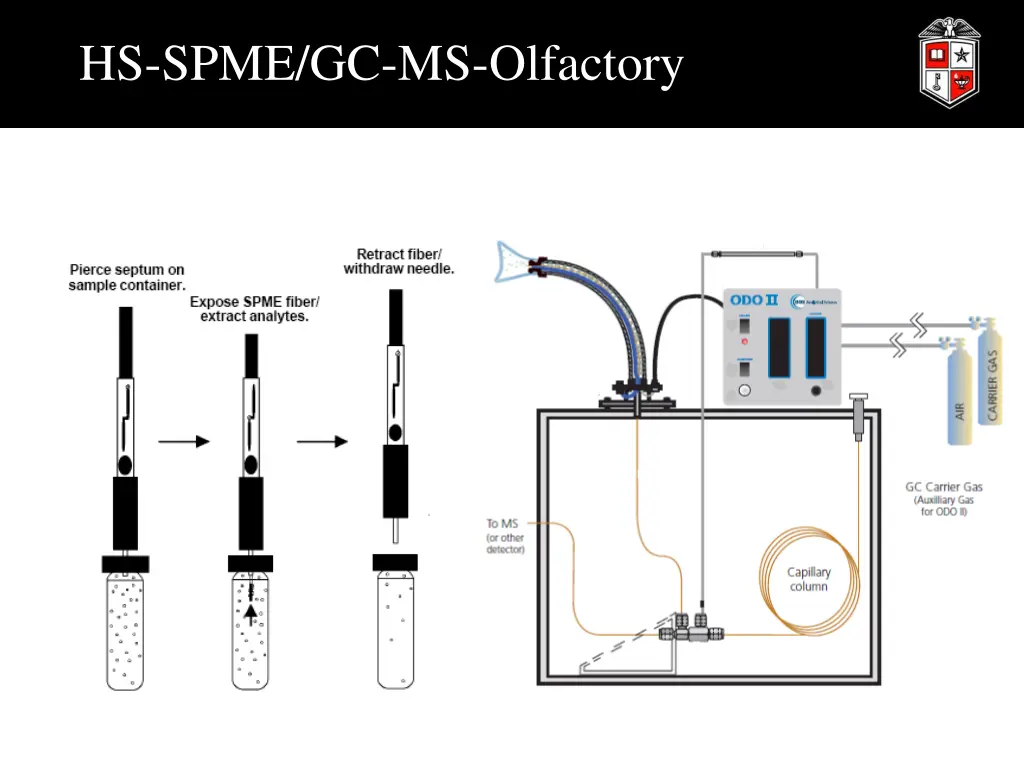 hs spme gc ms olfactory