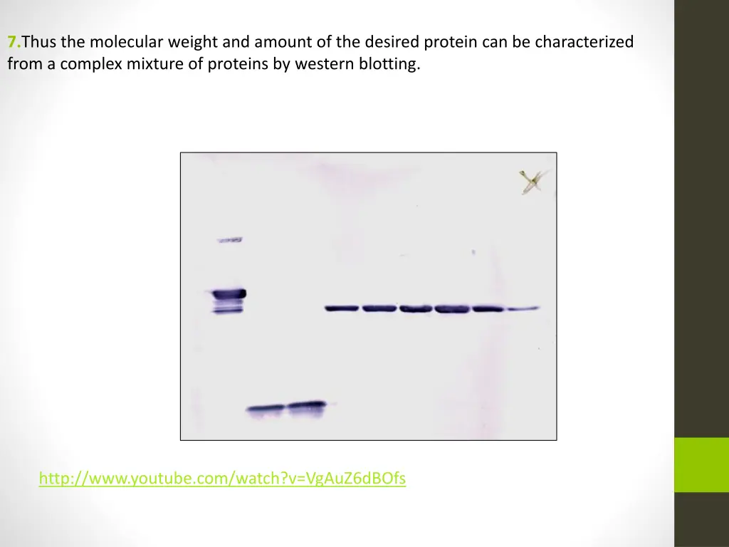 7 thus the molecular weight and amount