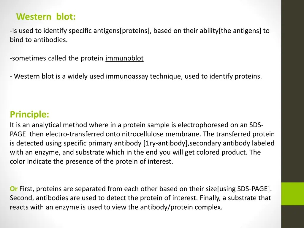 western blot