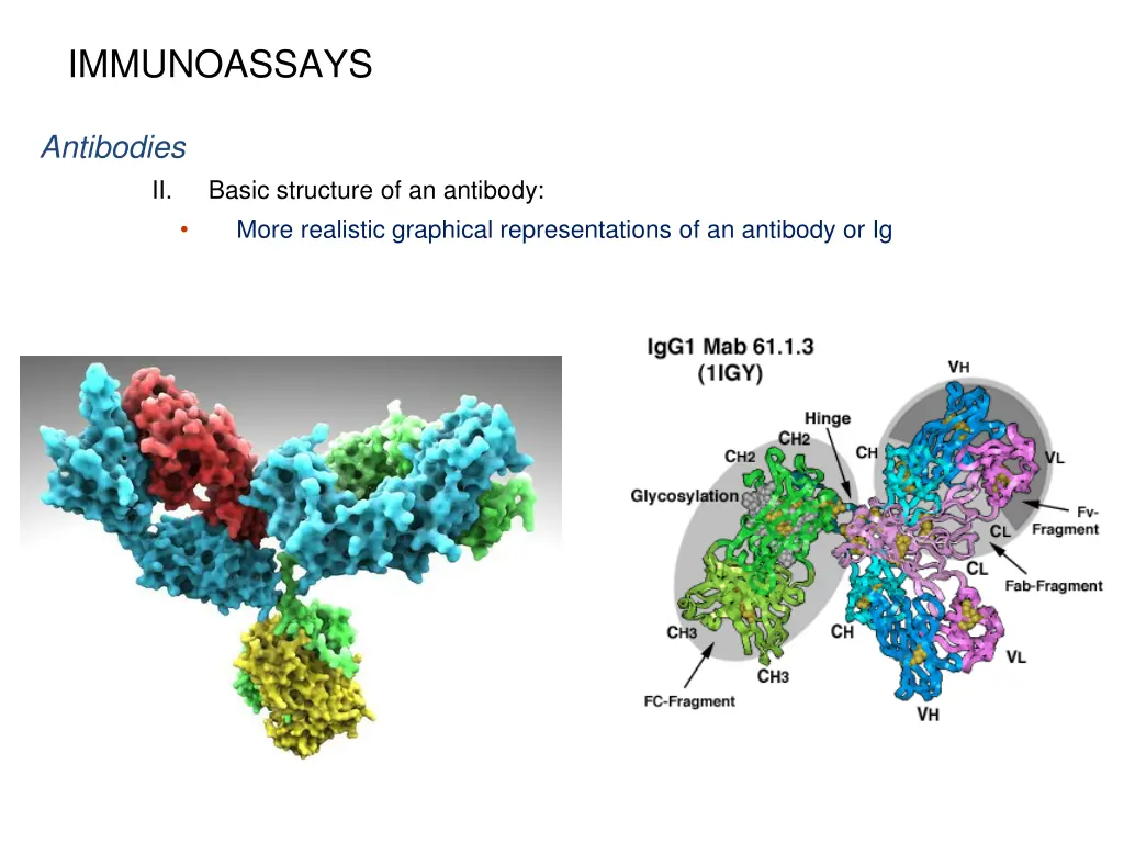 immunoassays 3