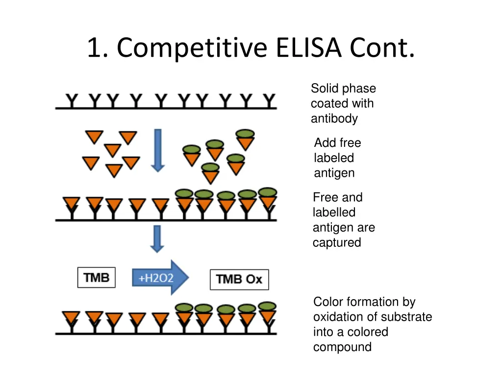 1 competitive elisa cont