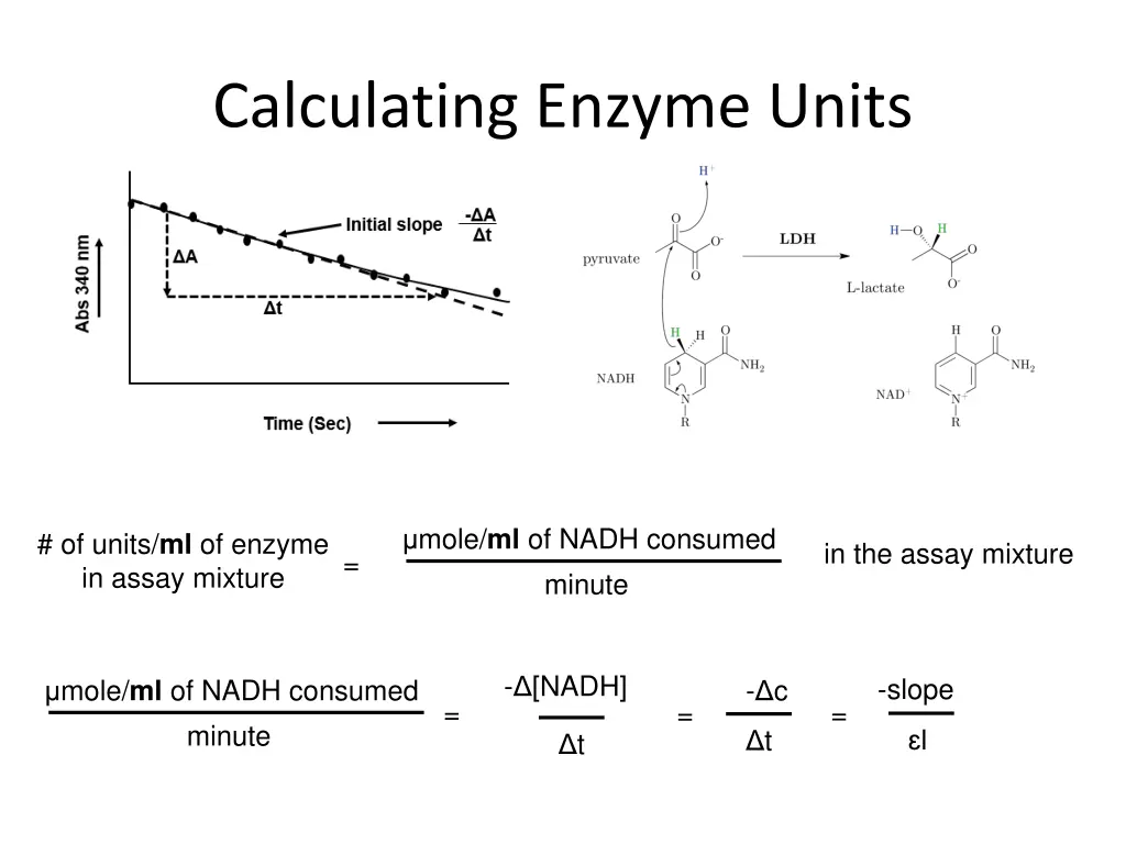 calculating enzyme units