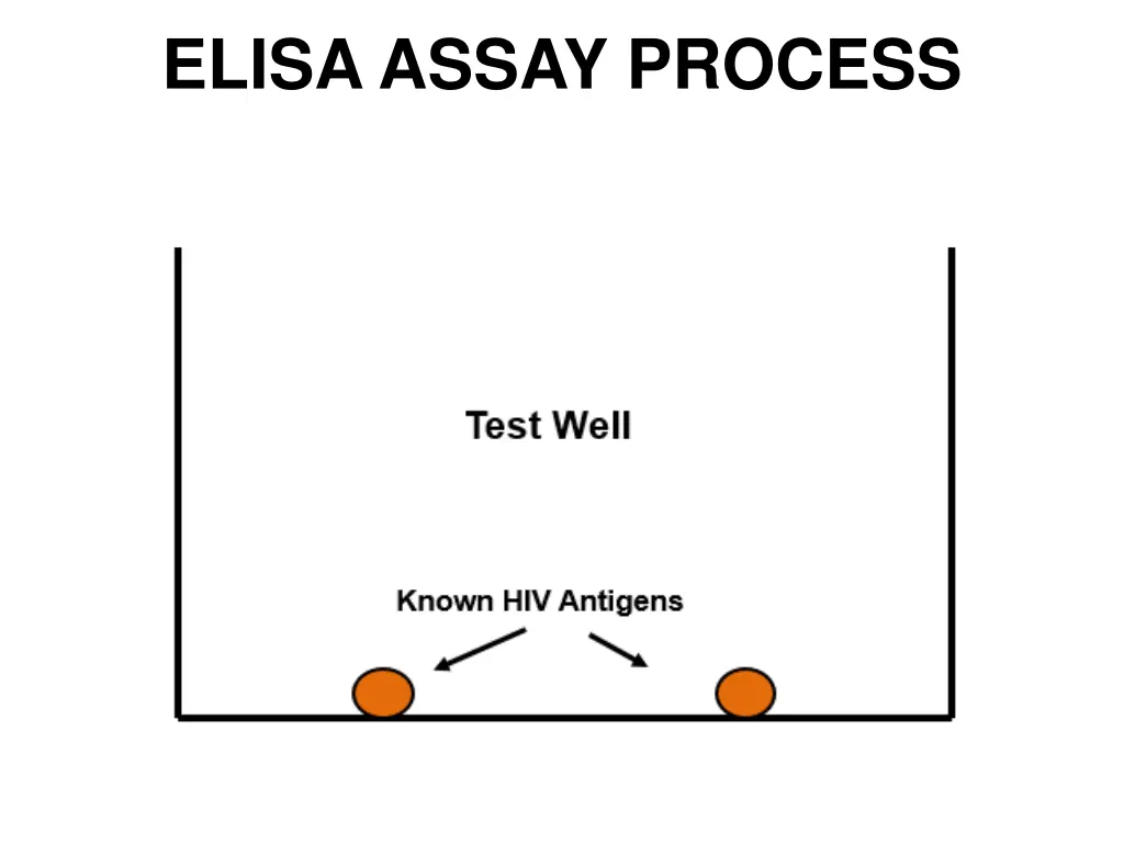 elisa assay process