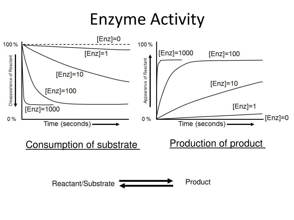 enzyme activity