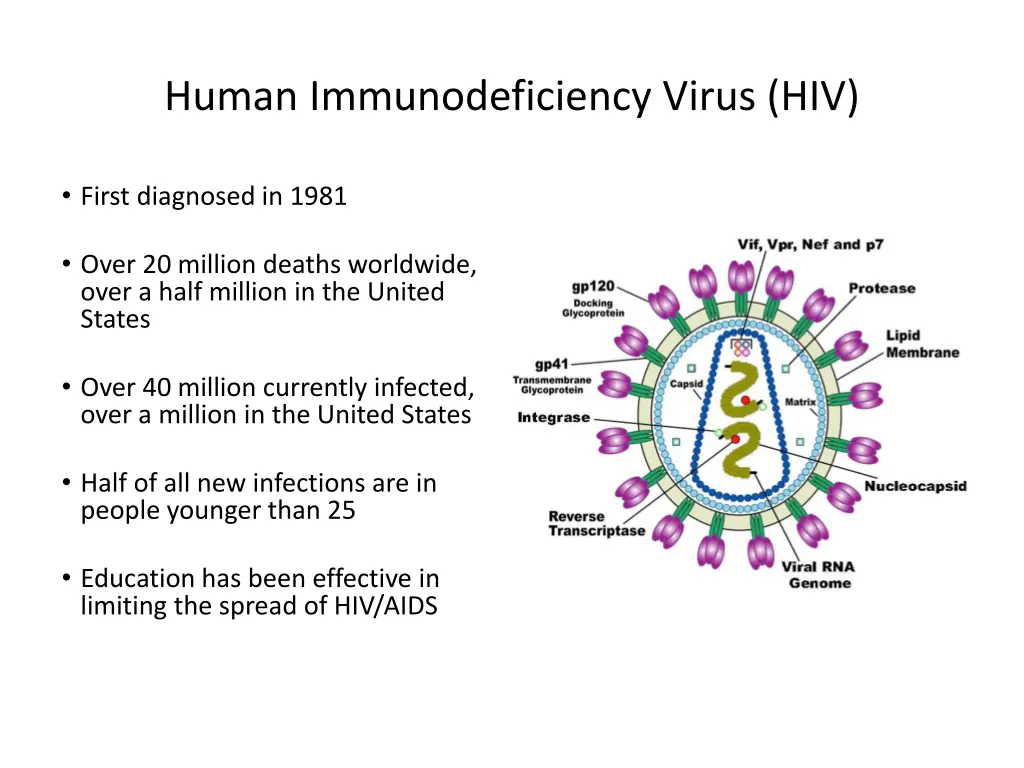 human immunodeficiency virus hiv