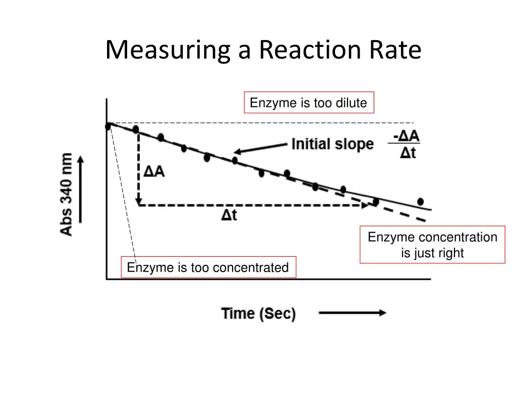 measuring a reaction rate