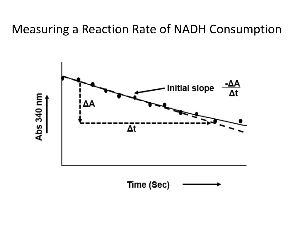 measuring a reaction rate of nadh consumption