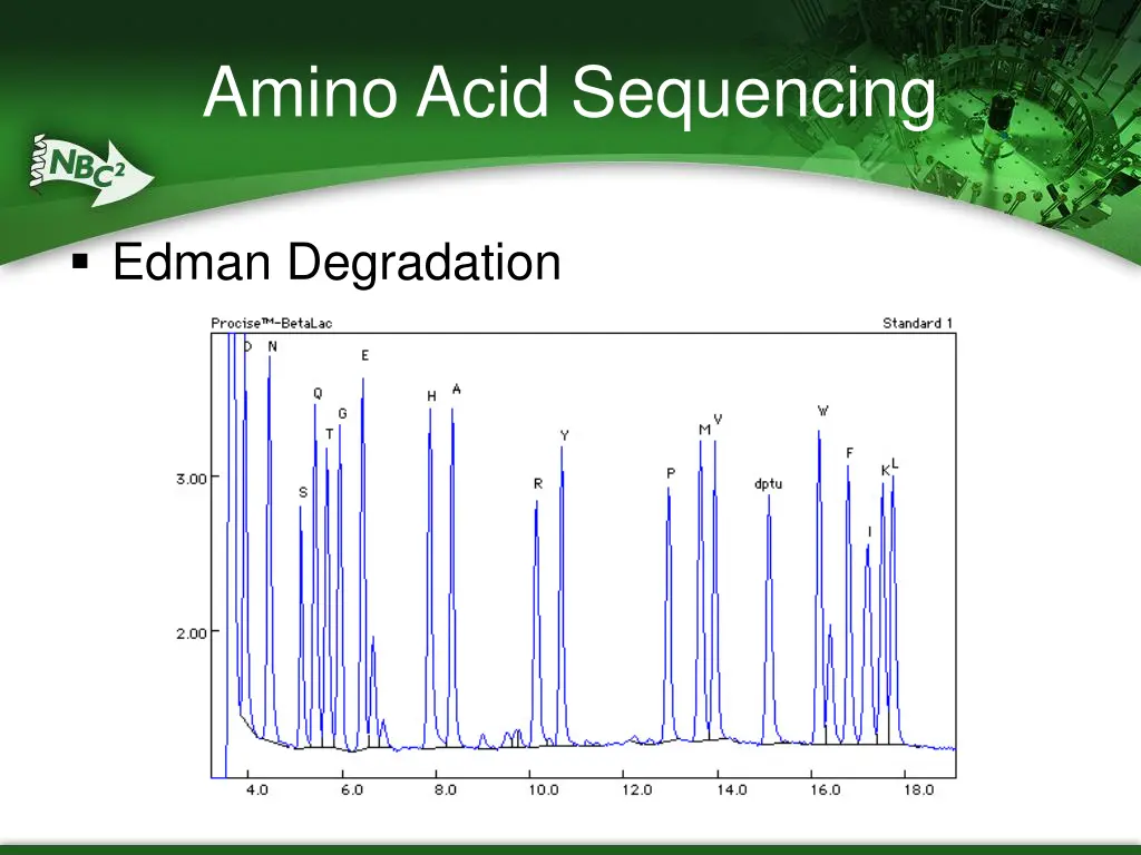 amino acid sequencing