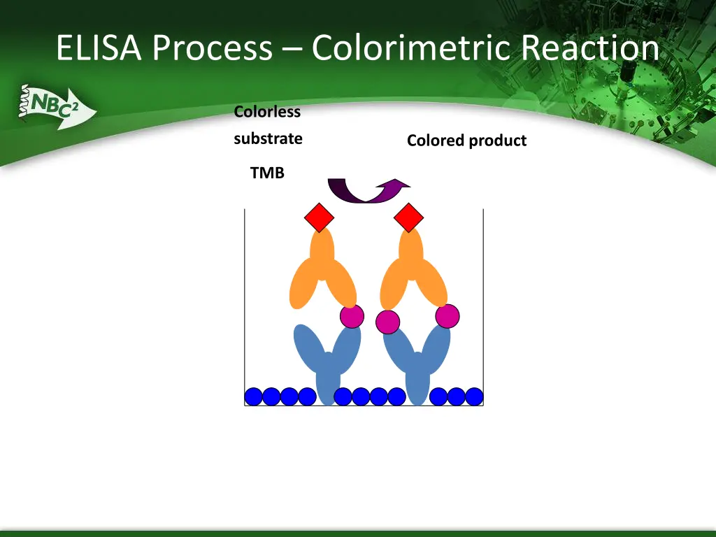 elisa process colorimetric reaction