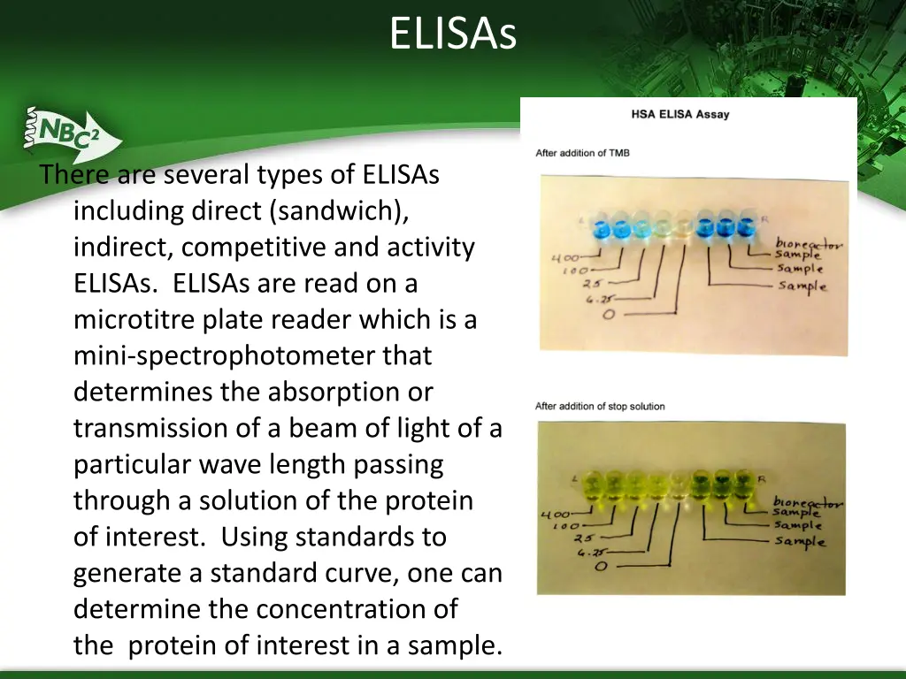 elisas