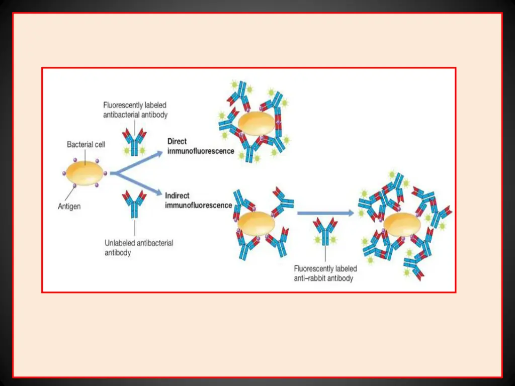 slide18