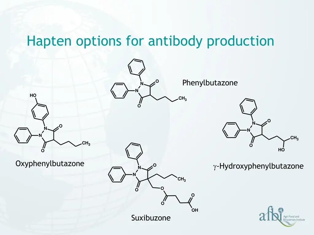 hapten options for antibody production