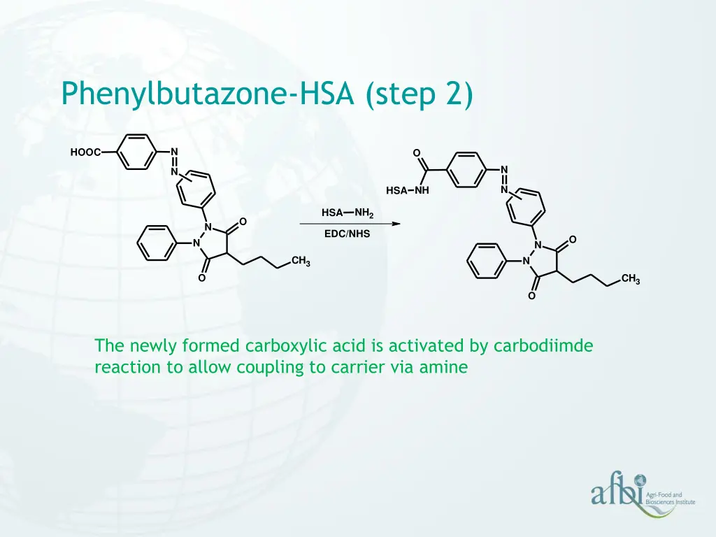 phenylbutazone hsa step 2