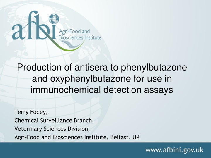 production of antisera to phenylbutazone