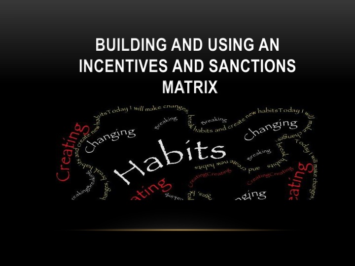 building and using an incentives and sanctions