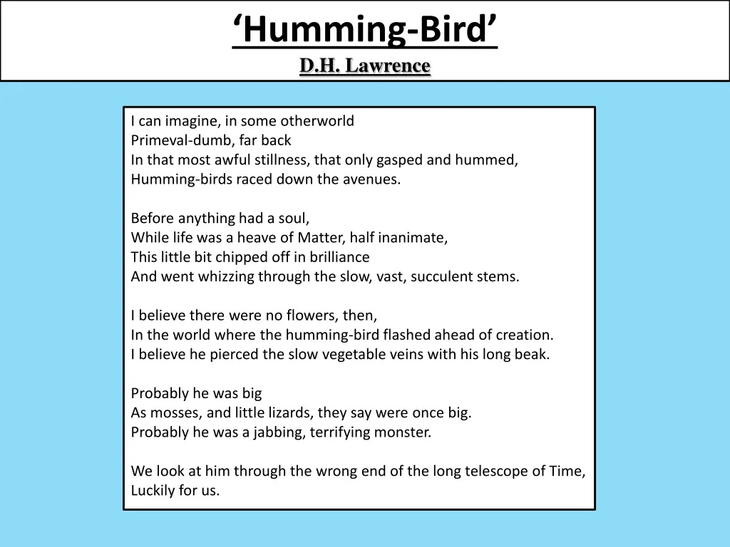 humming bird d h lawrence