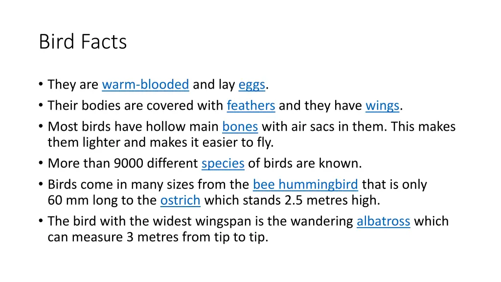 bird facts