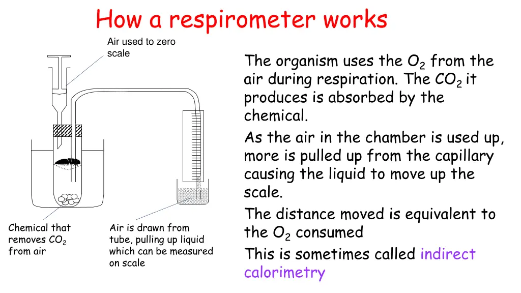 how a respirometer works