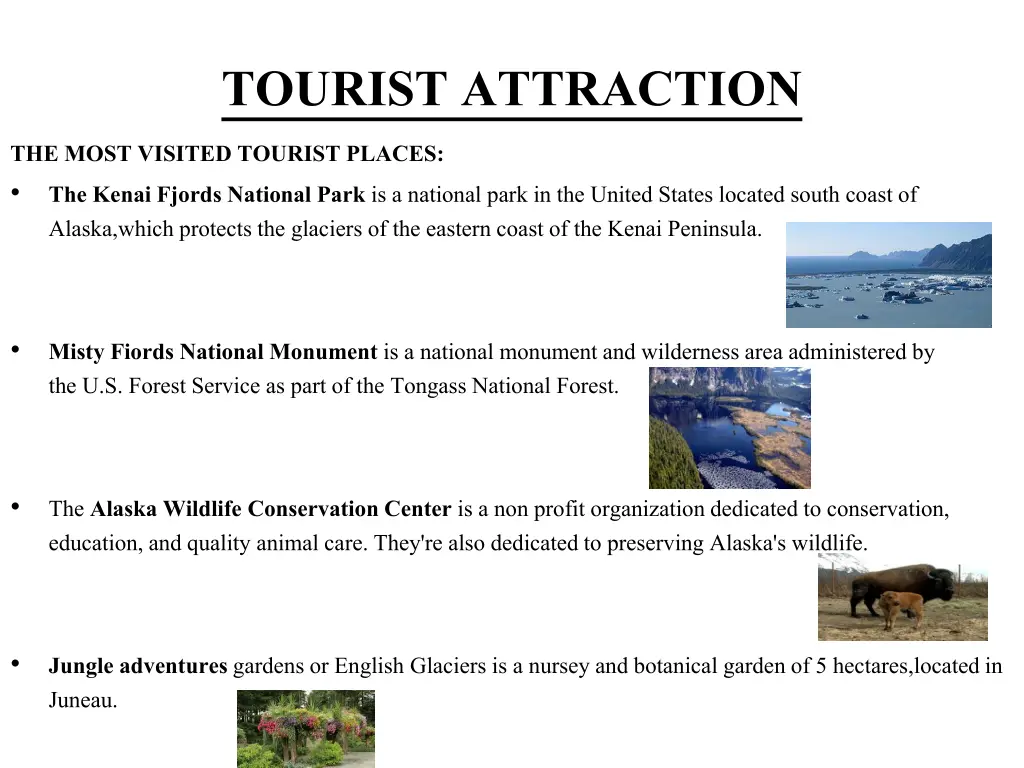 tourist attraction the most visited tourist