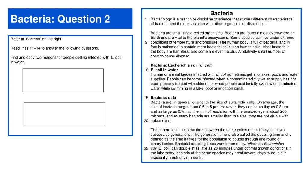 bacteria 1