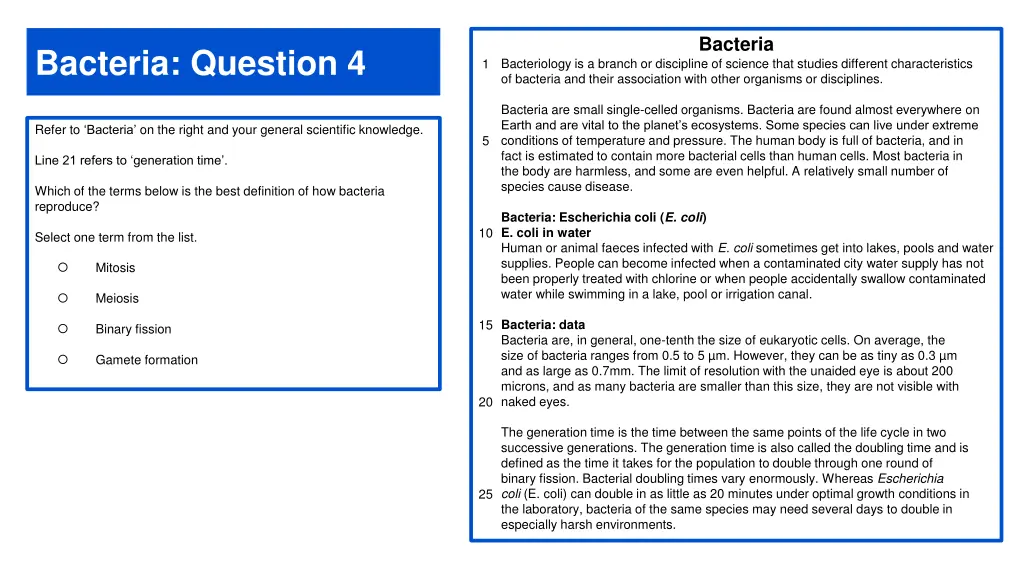 bacteria 3