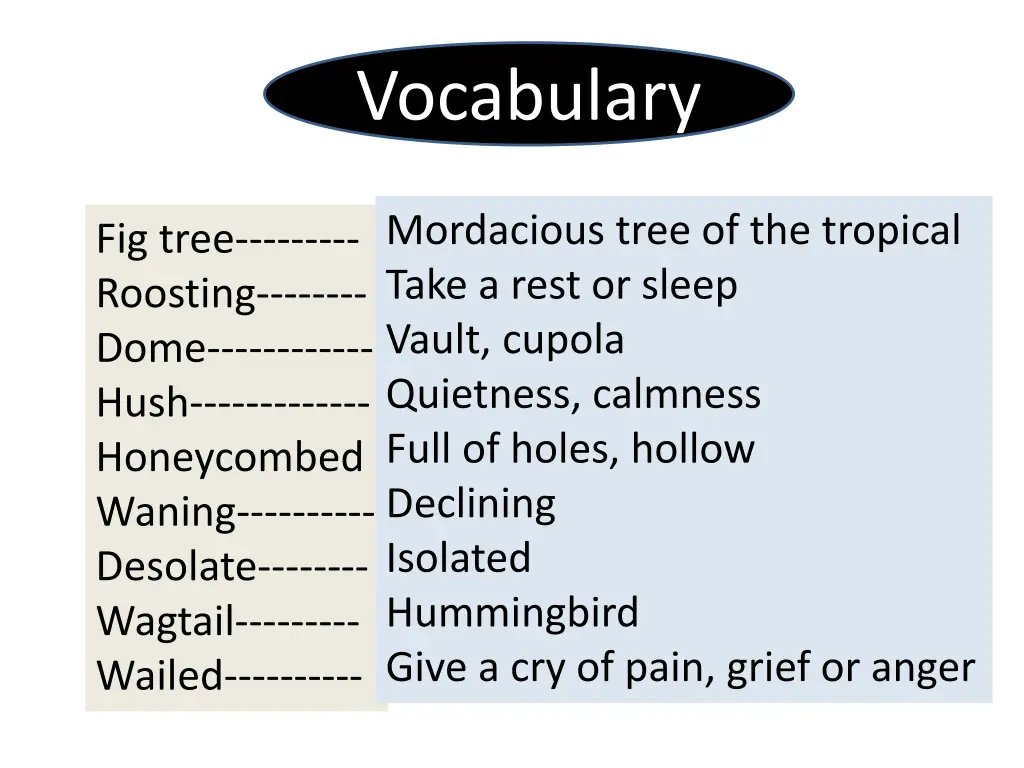 vocabulary