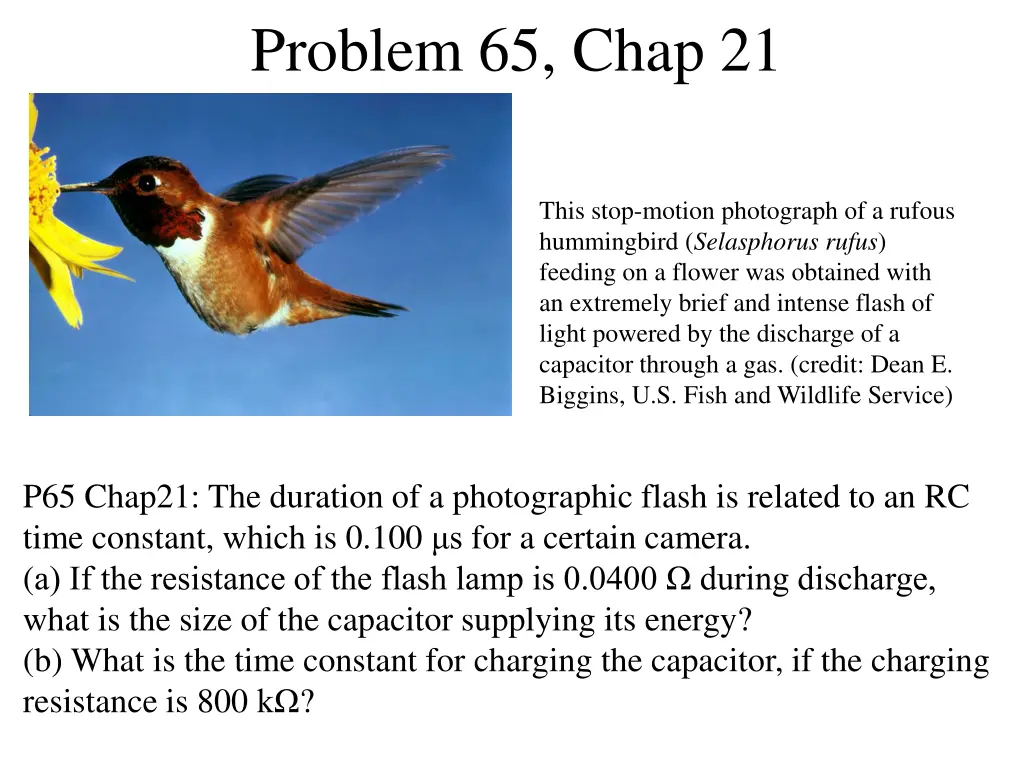 problem 65 chap 21