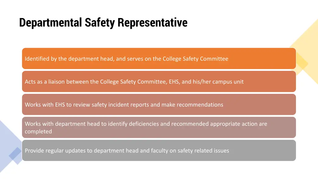 departmental safety representative