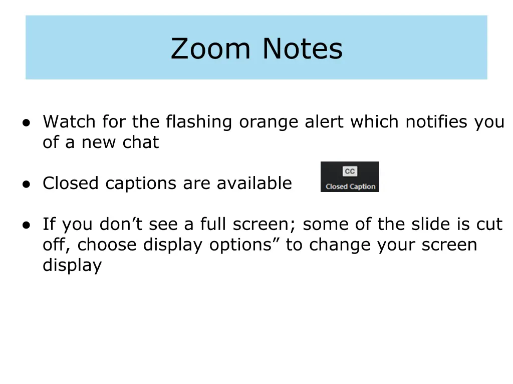 zoom notes