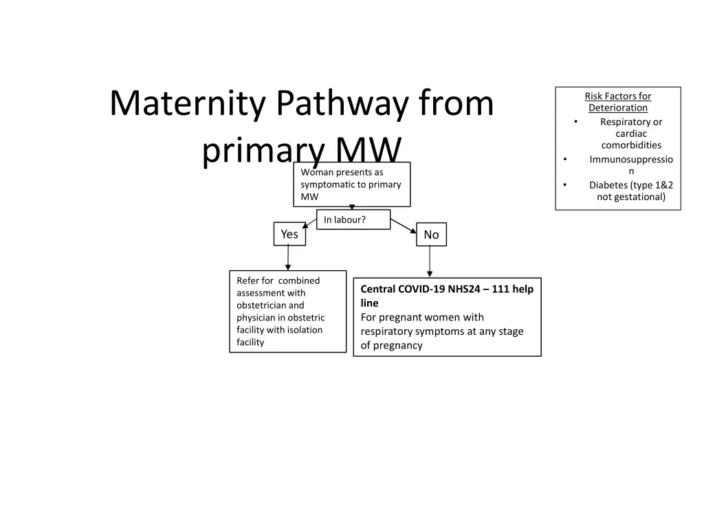 maternity pathway from primary mw woman presents