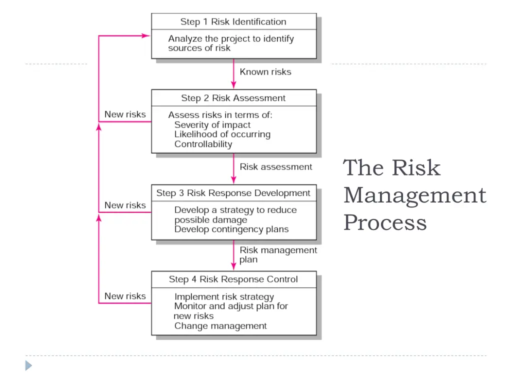 the risk management process