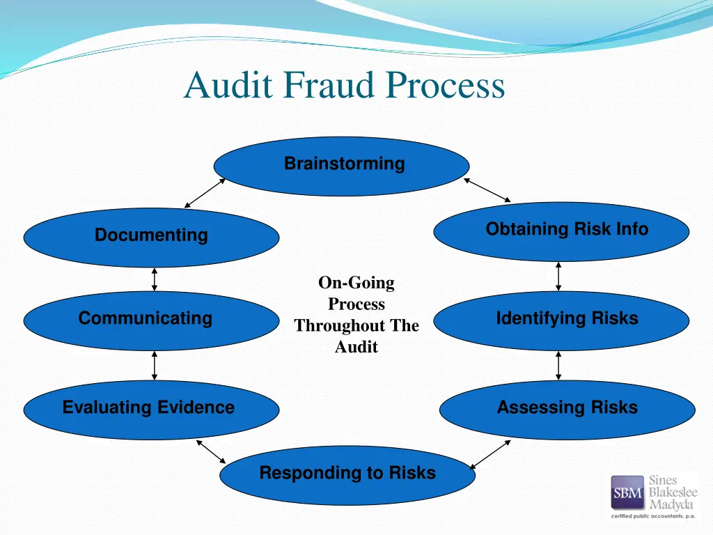 audit fraud process