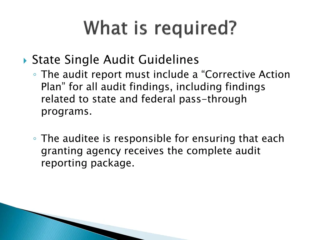 state single audit guidelines the audit report