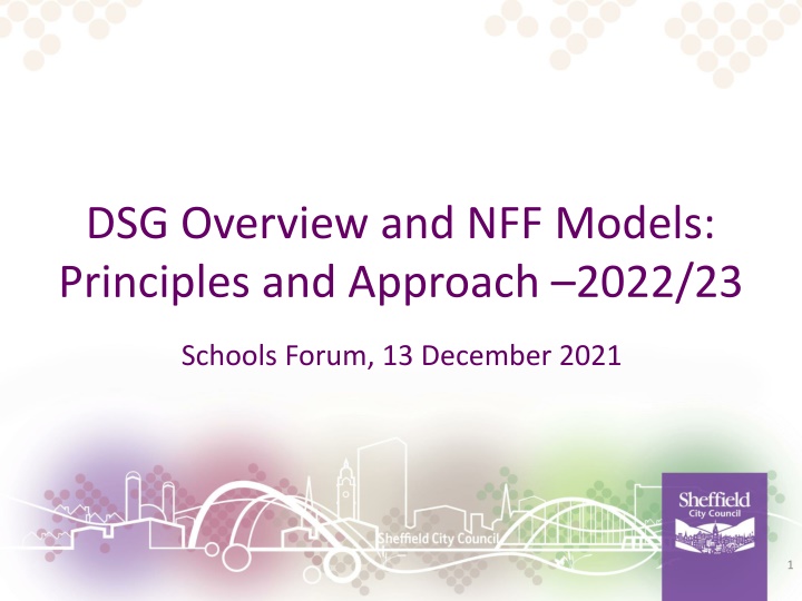 dsg overview and nff models principles