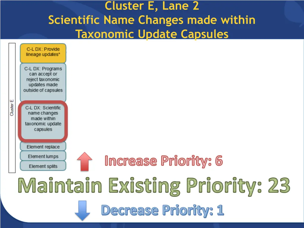 cluster e lane 2 1