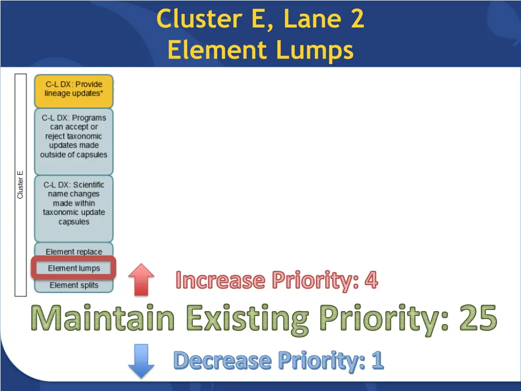 cluster e lane 2 element lumps