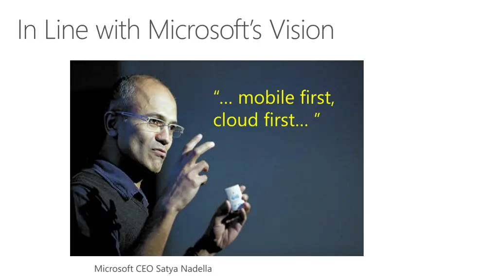 in line with microsoft s vision