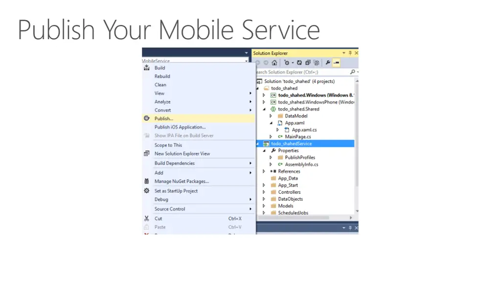 publish your mobile service