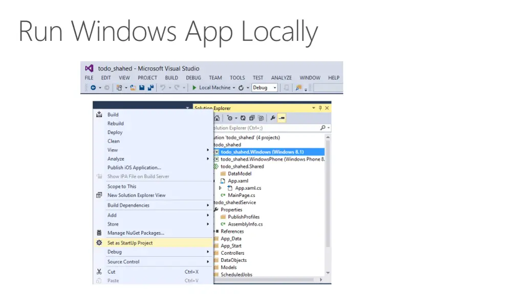 run windows app locally