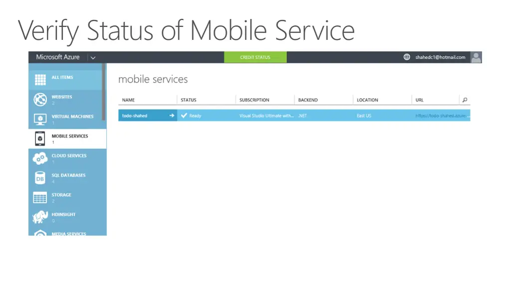 verify status of mobile service