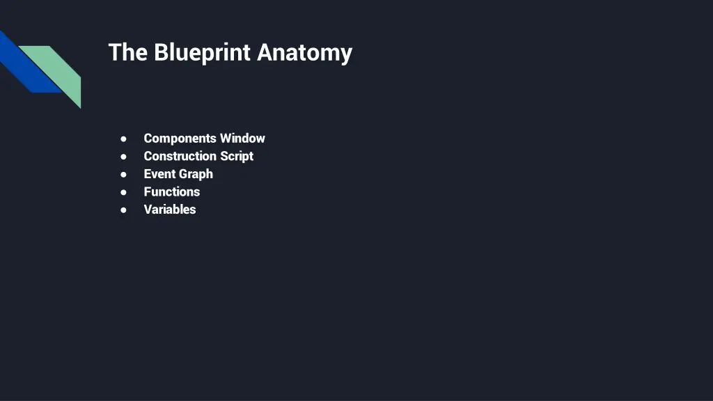 the blueprint anatomy