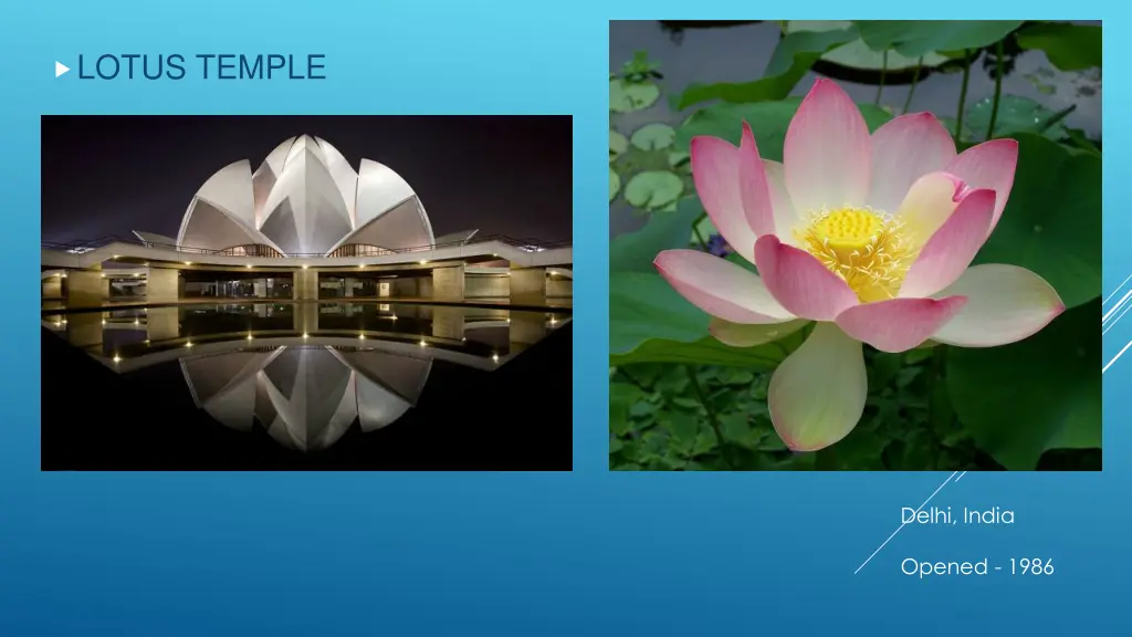 lotus temple