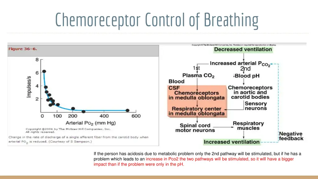 chemoreceptor control of breathing