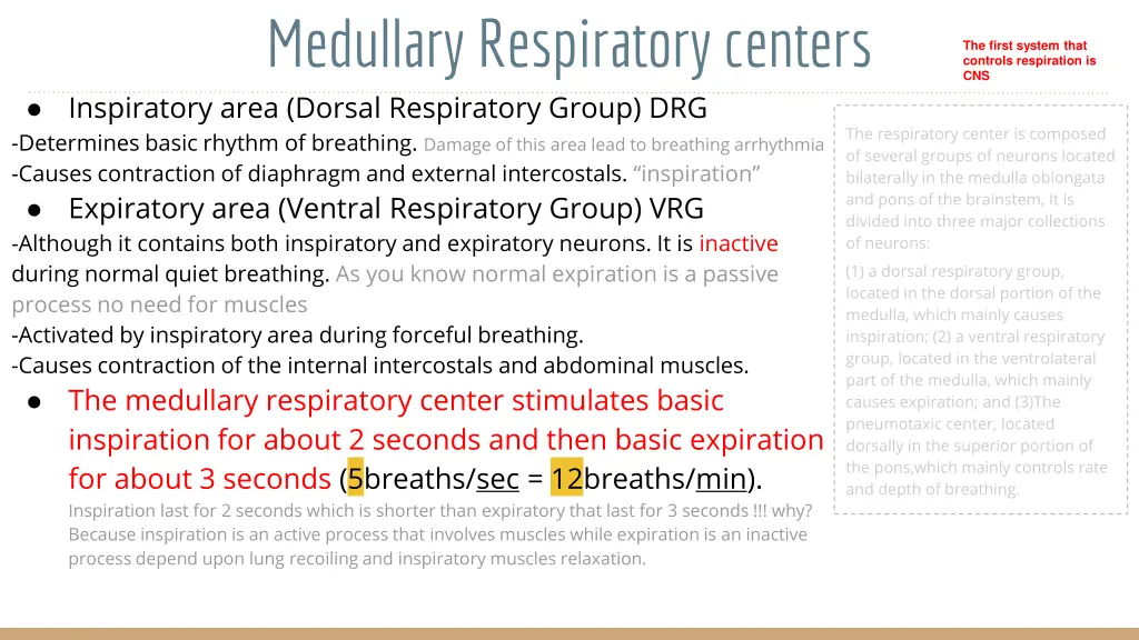 medullary respiratory centers inspiratory area