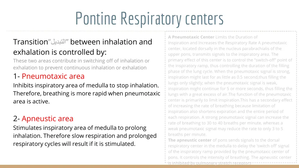 pontine respiratory centers